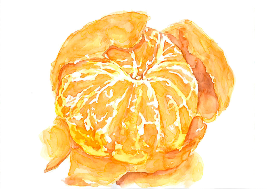 Ilustraciàon naranja acuarela