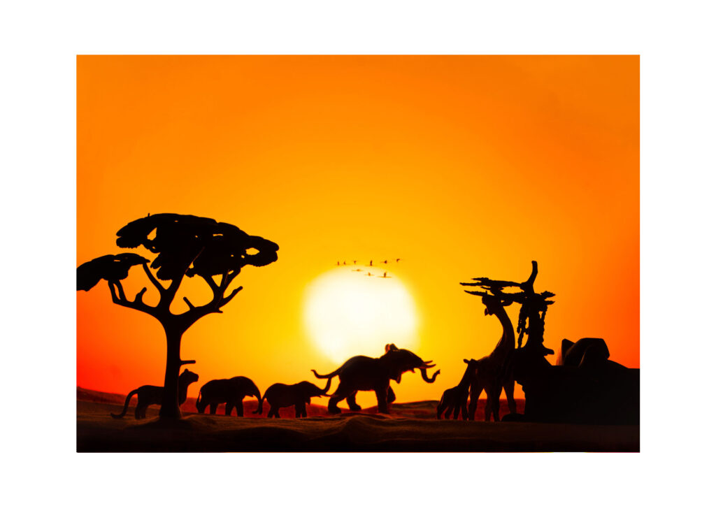 Fotografía de clase inspiradora del concurso | Serengeti